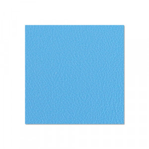 Adam Hall Hardware 04752 G - Sklejka brzozowa 6,8 mm 2500 x 1250 mm z folią stabilizującą, błękitna