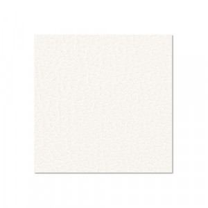 Adam Hall Hardware 0491 G - Sklejka brzozowa 9,4 mm 2500 x 1250 mm z folią podkładową, biała