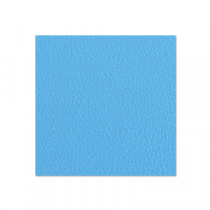 Adam Hall Hardware 04952 G - Sklejka brzozowa 9,4 mm 2500 x 1250 mm z niebieską folią nośną